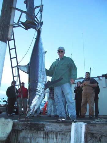 370 lb Mako