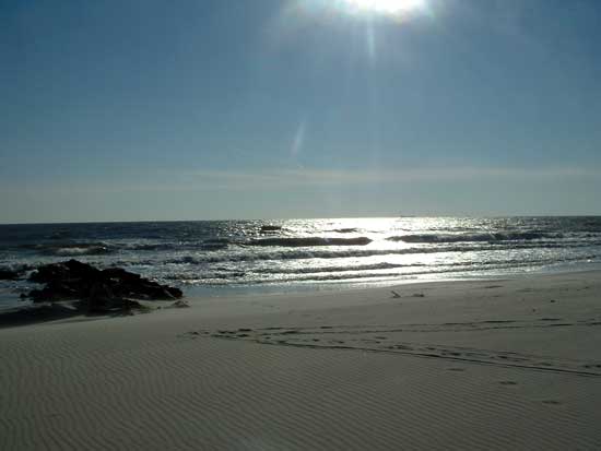 Neptune Beach by Jaime Goldstein