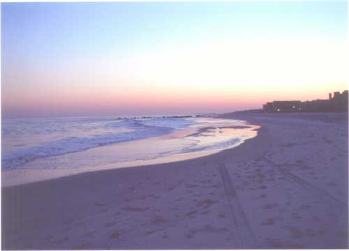 The Beach at Sunset