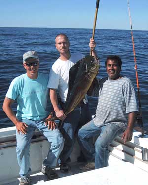 Dolphin (Mahi Mahi)