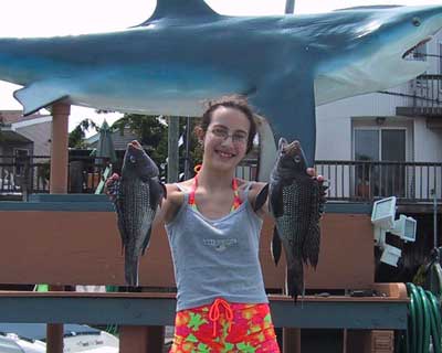 Sea Bass