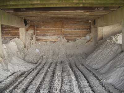 Under the boardwalk